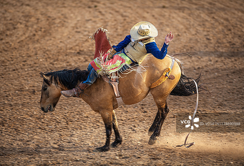 烈马牛仔竞技赛事图片素材