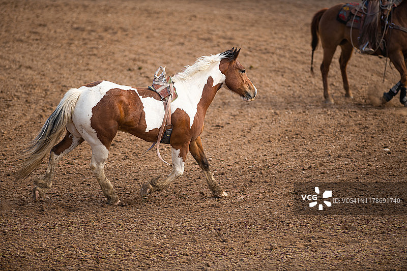 烈马牛仔竞技赛事图片素材