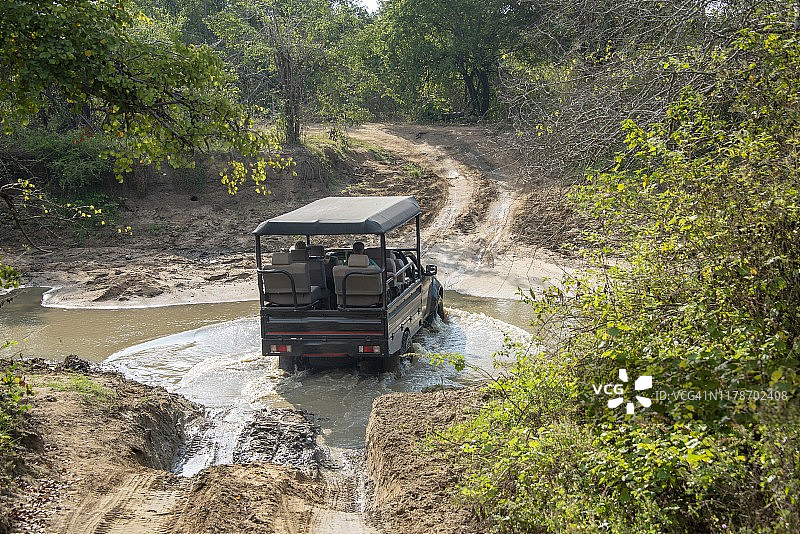 斯里兰卡乌达瓦拉维国家公园野生动物旅行图片素材