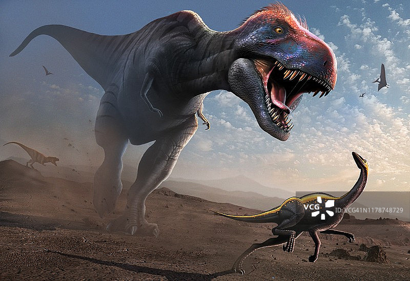 霸王龙追逐似鸟龙插画图片素材