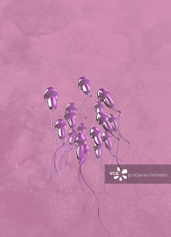 人类精子，图示图片素材