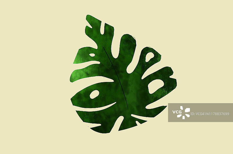 热带树枝背景插画图片素材