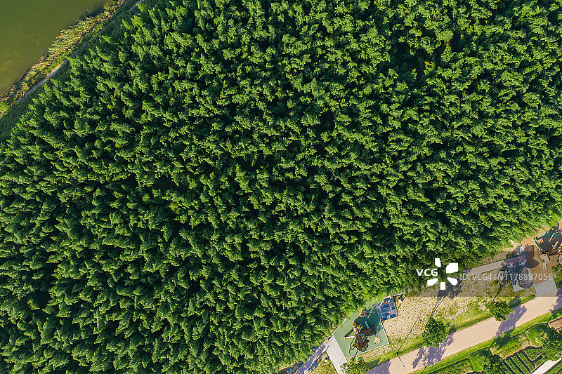 太和江大公园风光图片素材