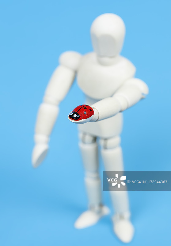 手持瓢虫的木制人体模型图片素材