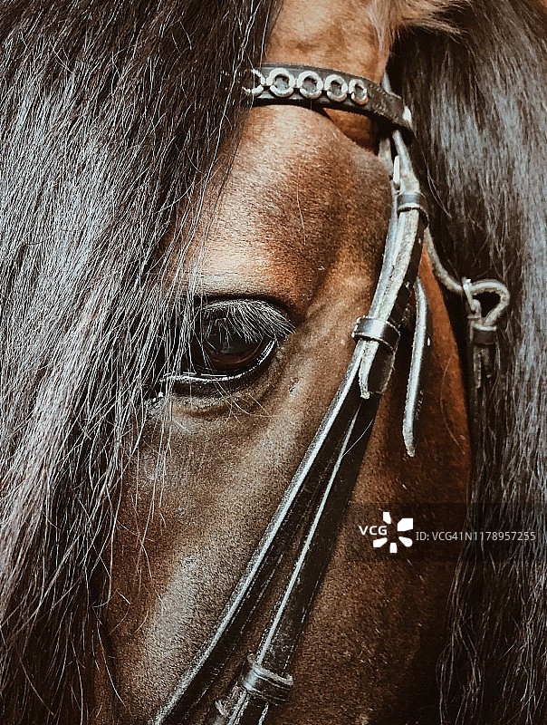 挪威多尔马的特写，挪威图片素材