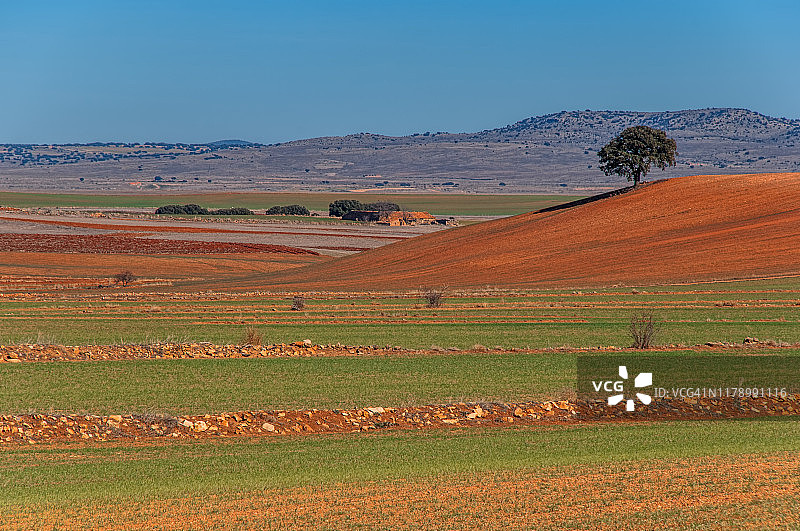 拉曼查景观图片素材