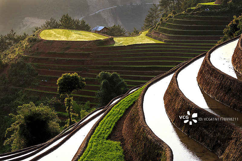 越南木 Cang Chai 水稻梯田风光图片素材