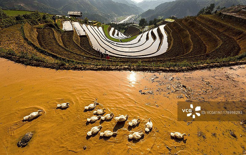 越南木 Cang Chai 水稻梯田风光图片素材