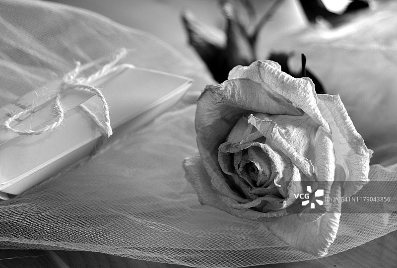 背景中带有小礼物的干燥玫瑰花图片素材