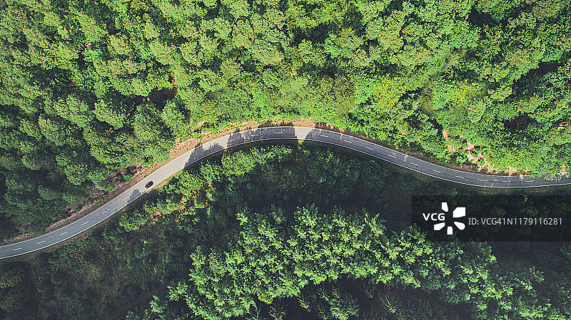 德国欧洲的松树林公路航拍图片素材