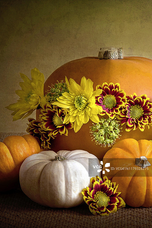 特写：秋季静物摆件，含橙色南瓜、葫芦和鲜艳的秋季花卉图片素材