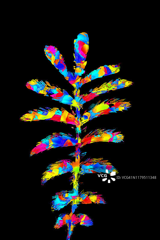 黑色背景上的抽象秋季彩色叶子图片素材