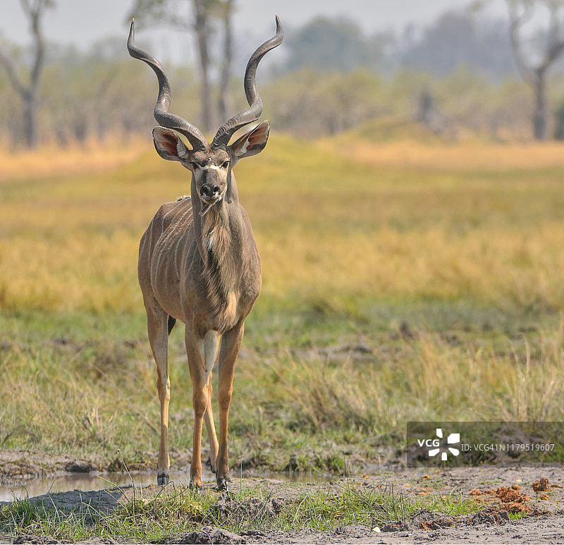 不管怎样,图片素材