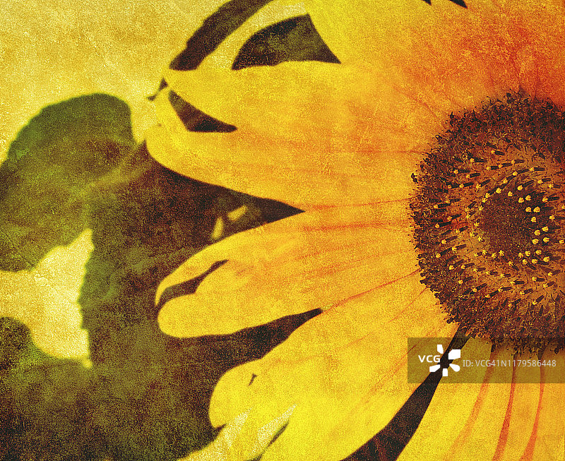 复古向日葵印花图片素材