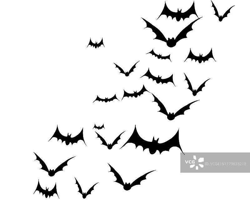 万圣节蝙蝠插画图片素材