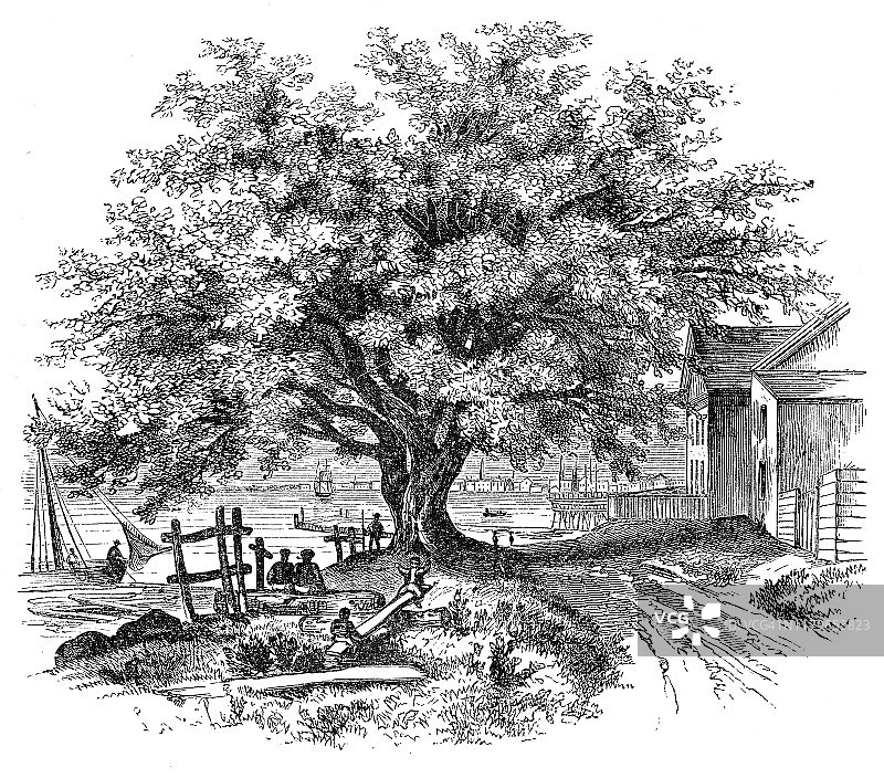 美国宾夕法尼亚州 1868 年场景雕刻图片素材