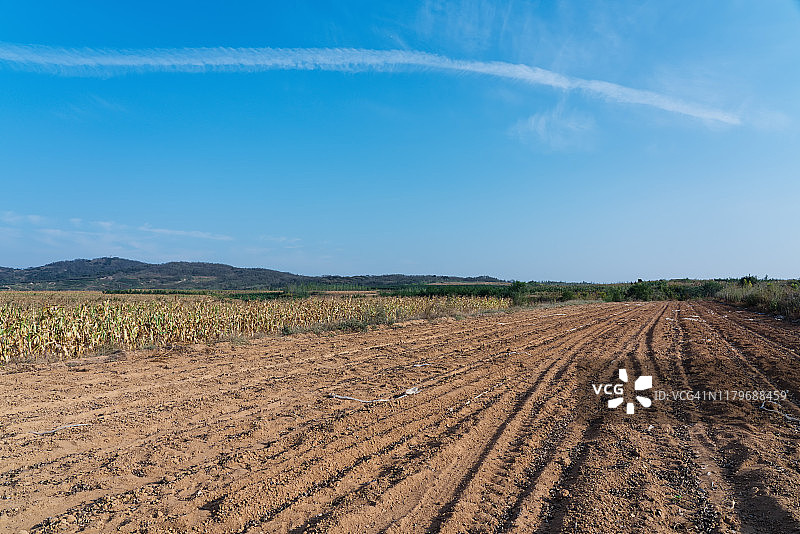 荒野中汽车驶过的道路图片素材