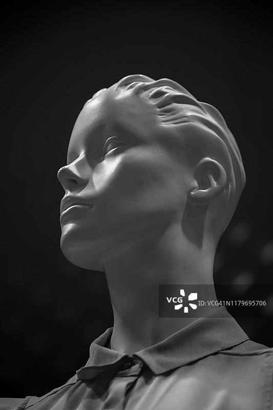 人体模型图片素材