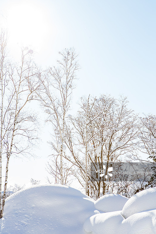 日本二世谷的冬天。图片素材