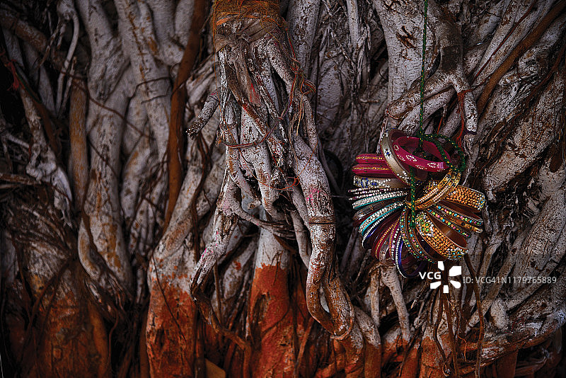 许愿树 - 榕树图片素材