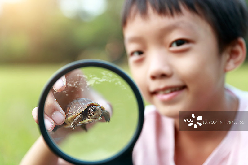 拿着乌龟的男孩图片素材