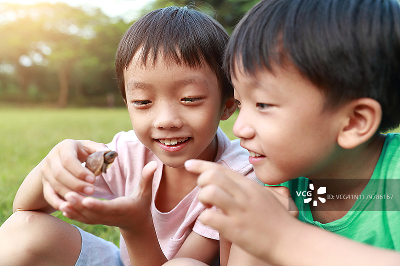 抱着乌龟的男孩图片素材
