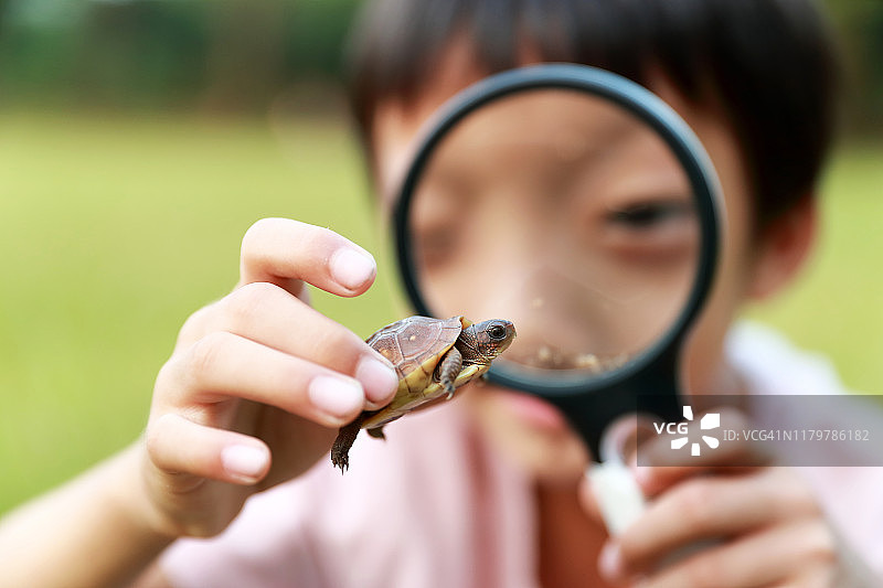 拿着乌龟的男孩图片素材