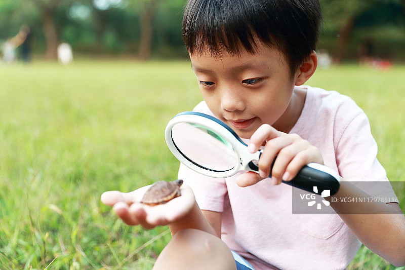拿着乌龟的男孩图片素材