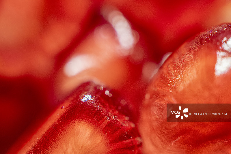 红石榴籽组成的精美图案图片素材