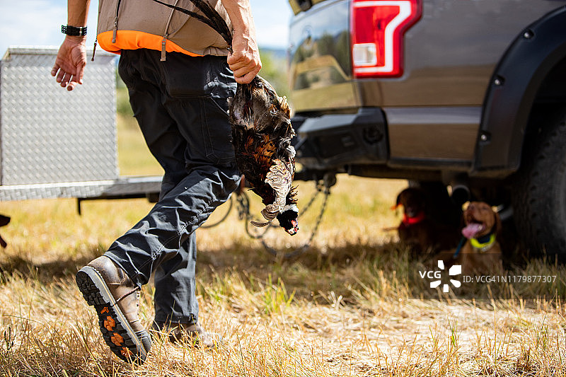 狩猎结束图片素材