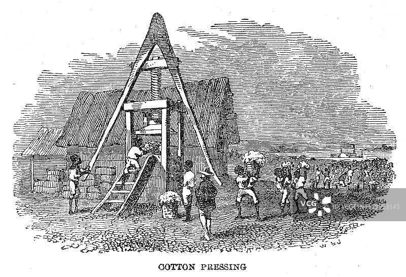 1871年棉花压榨雕刻图片素材