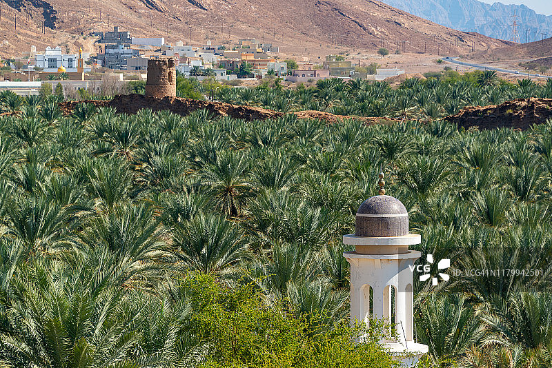 阿曼比尔卡特穆兹绿洲图片素材