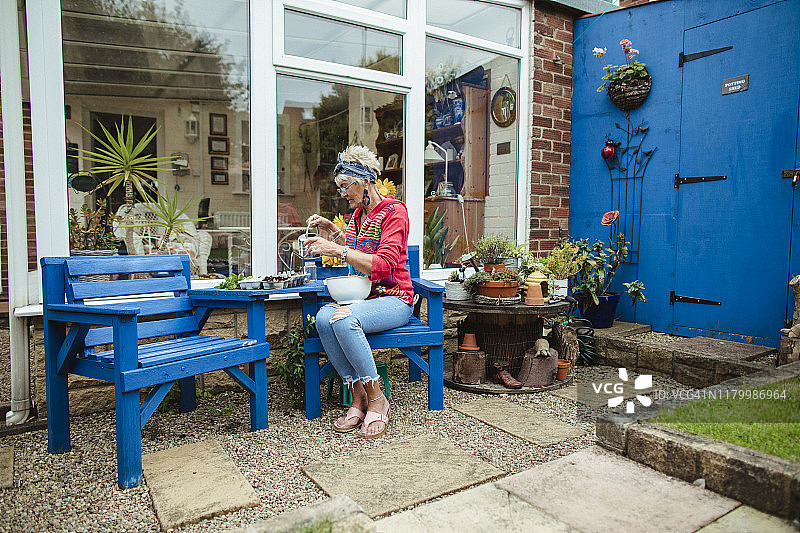 种植种子图片素材