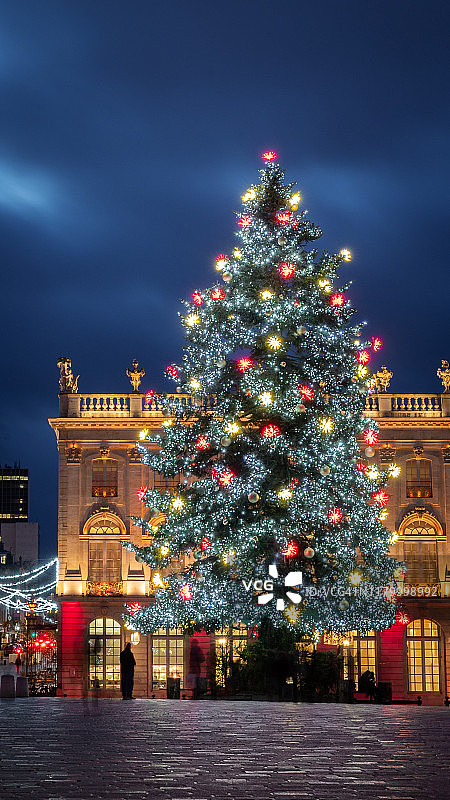 法国冬季圣诞树图片素材
