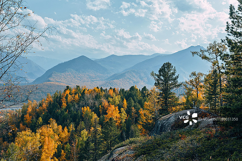 阳光明媚的阿尔泰山金色秋季氛围，西伯利亚，俄罗斯图片素材