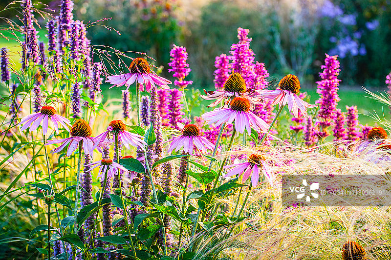 混合边界的观赏花园图片素材