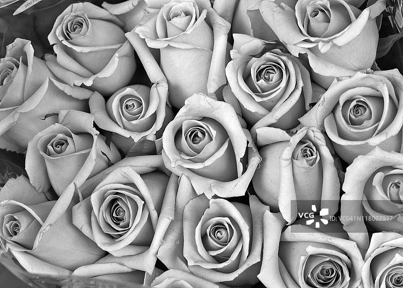 黑白玫瑰花束图片素材