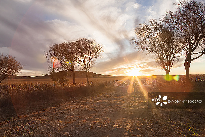 阿根廷乡村日落图片素材