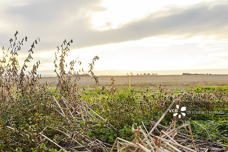 阿根廷乡村风光图片素材