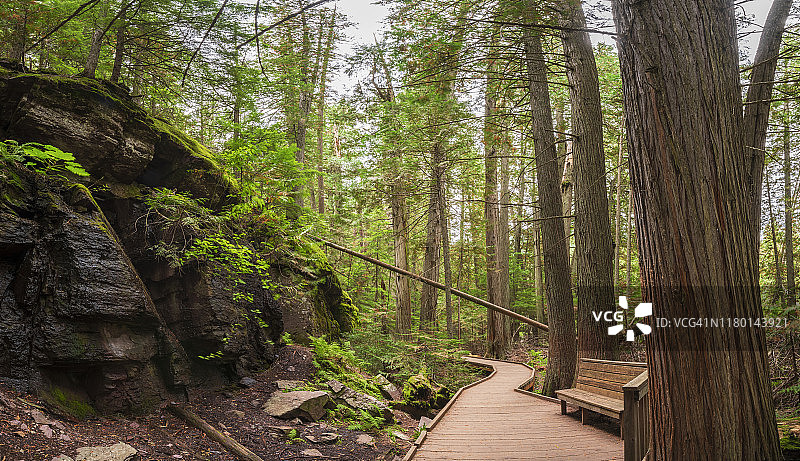 冰川国家公园雪崩瀑布小径，蒙大拿州，美国图片素材
