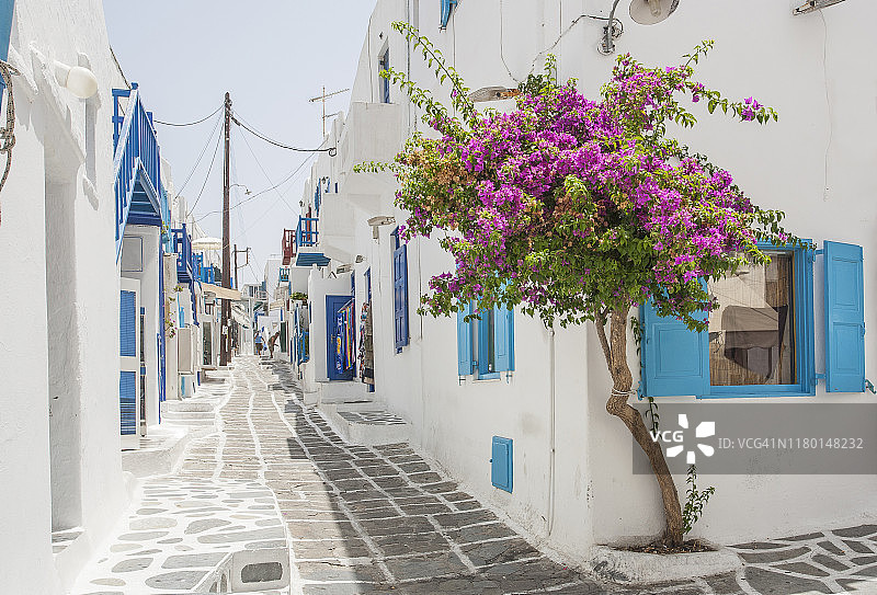 希腊村庄白色墙壁上的红色花朵图片素材