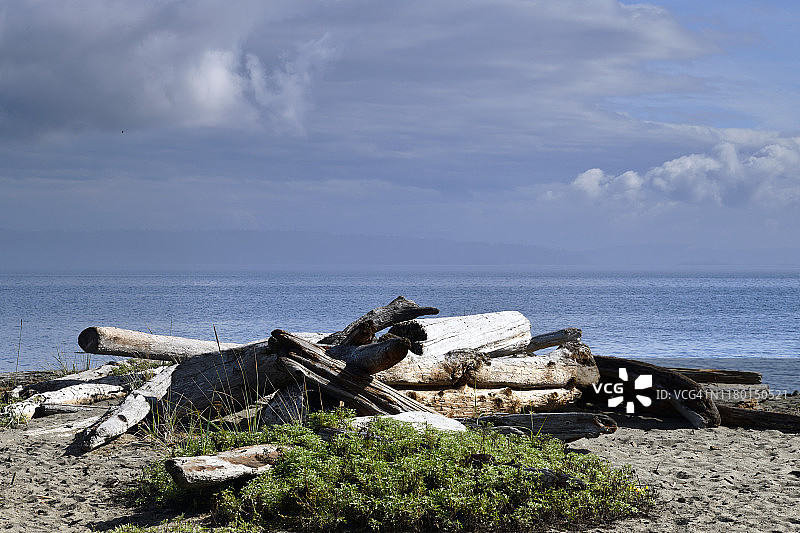 加拿大BC省温哥华岛的海岛海滩景观图片素材
