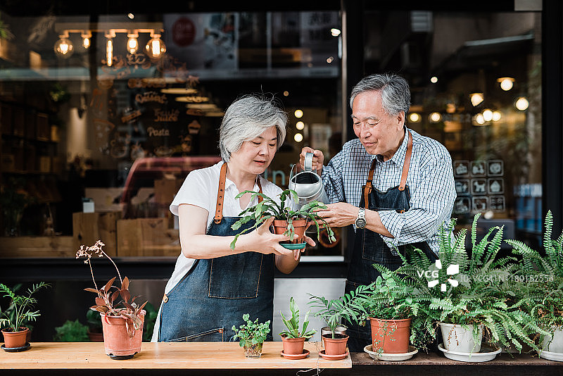 一对年长的夫妇在浇花图片素材