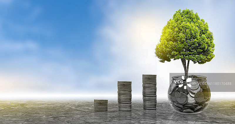 投资者办公桌上的树木生长与财务报告和投资图片素材