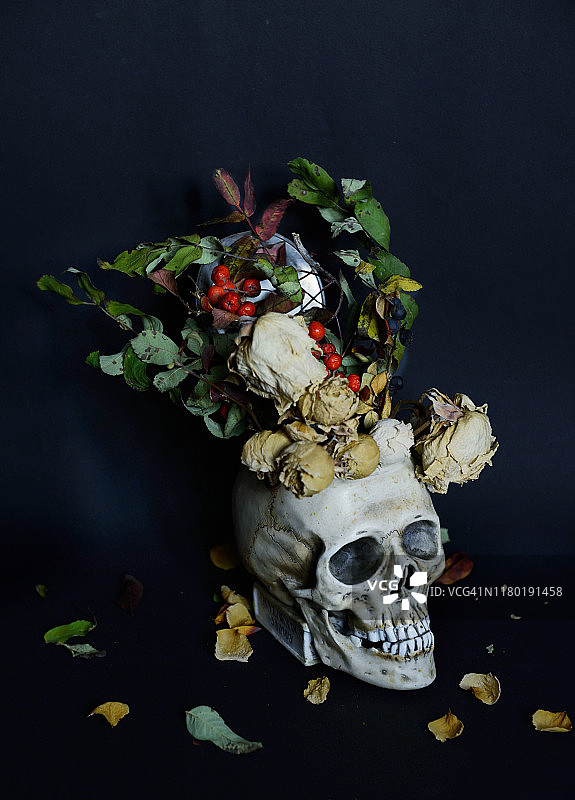 黑色背景上带有头骨和鲜花的创意花卉布局图片素材