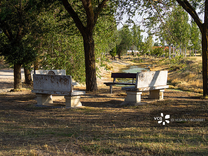 公园里树下石木长椅围成一圈图片素材