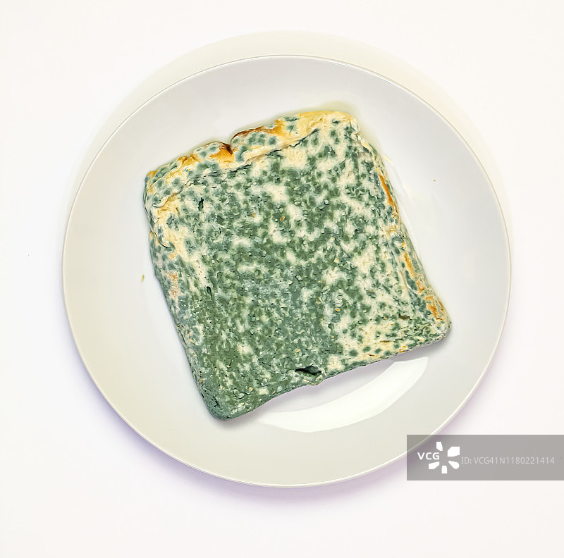 发霉的食物：霉变的吐司面包图片素材