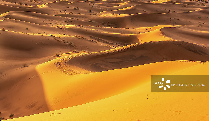 撒哈拉沙漠风光：在摩洛哥行走的图阿雷格人和骆驼图片素材