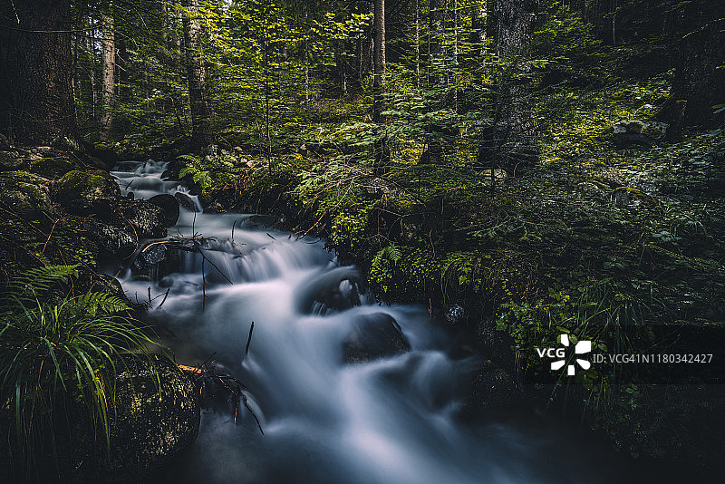 森林层叠溪流图片素材