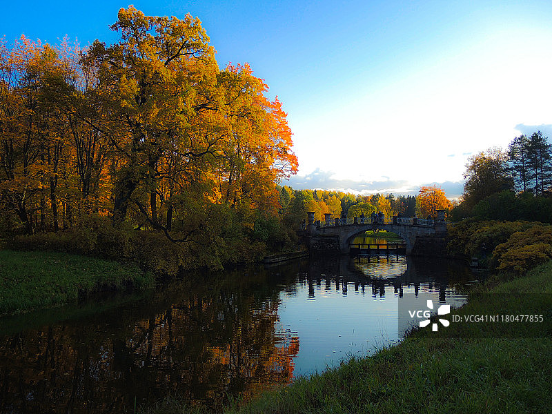 秋季明亮风景，河流和桥梁在阳光照耀下的明亮黄色树木背景中图片素材
